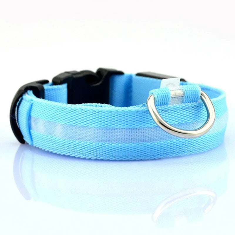 Glow In The Dark Collar - Keep Your Pet Safe and Seen After Dark - Tim Ecommerce Specialist